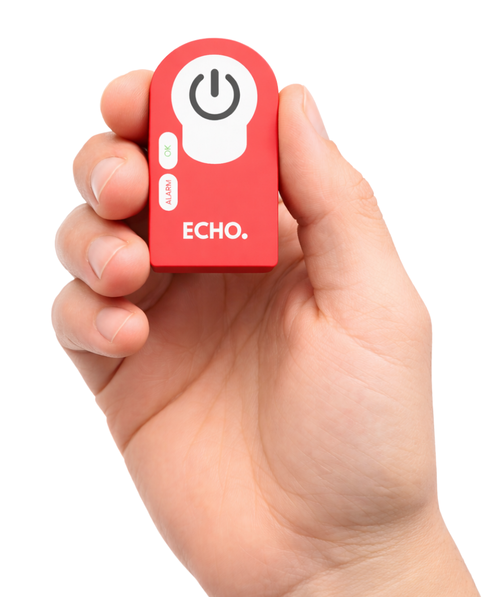 Echo sensor in hand
